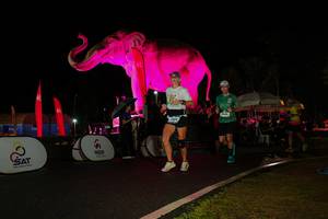 BIB: 
                            <button type="button" onclick="openModal(26544259)" class="btn btn-primary btn-sm float-right btn-popup" data-toggle="modal" data-target=".modal-high-quality">
                        <i class="fas fa-shopping-cart"></i> Add to Cart
                    </button>
                                            <button type="button" onclick="isThisMe(26544259, true)" class="btn btn-success btn-sm float-right btn-popup btn-isme hidden" data-toggle="tooltip" data-placement="bottom" title="นี่คือรูปของคุณใช่ไหม คลิกที่นี่เพื่อเอาเข้าอัลบั้ม">
                        <i class="fas fa-plus"></i> Add to album
                    </button>
                    <button type="button" onclick="isThisMe(26544259, false)" class="btn btn-warning btn-sm float-right btn-popup btn-isnotme hidden">
                        <i class="fas fa-ban"></i> Remove from album
                    </button>